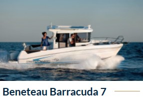 Barracuda_7