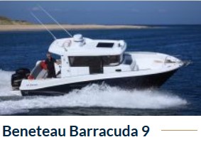 Barracuda_9