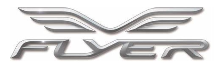 flyer_logo